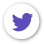 Twitter Page Link