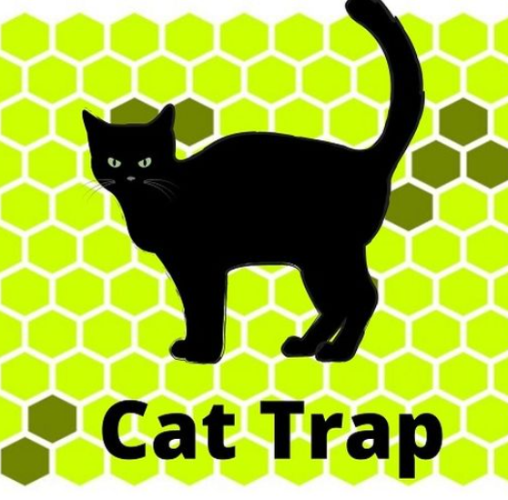 Cat Trap Unblocked Games Premium Play Online